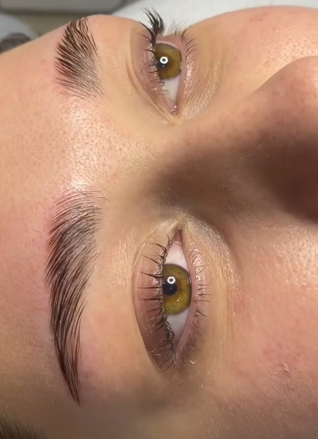Lash lift pdf